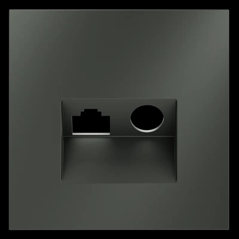 Накладка для розетки TV+RJ45 кат. 6, S70 (титан)