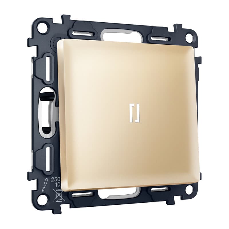 Комплект механизма 1-кл проходного выключателя с подсветкой 5600K ALFA Шампань QUANT (AP6020, VM105, G25W)